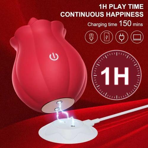 Bông hồng liếm HOT JOY NIGHT 10 chế độ, silicon cao cấp, rung cực phê Bông hồng liếm HOT JOY NIGHT 10 chế độ, silicon cao cấp, rung cực phê