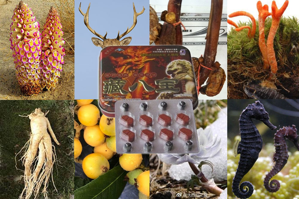 Viên uống cường dương Tibet Babao Singapore tăng cường sinh lý mạnh mẽ