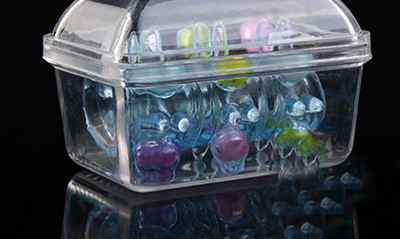 Bao đôn dên khúc giữa siêu gai bi tăng khoái cảm an toàn