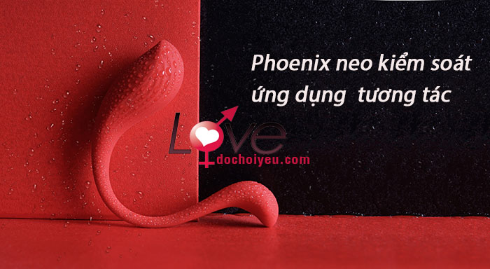 Bộ quà tặng phòng the cao cấp Svakom USA đẳng cấp sang trọng