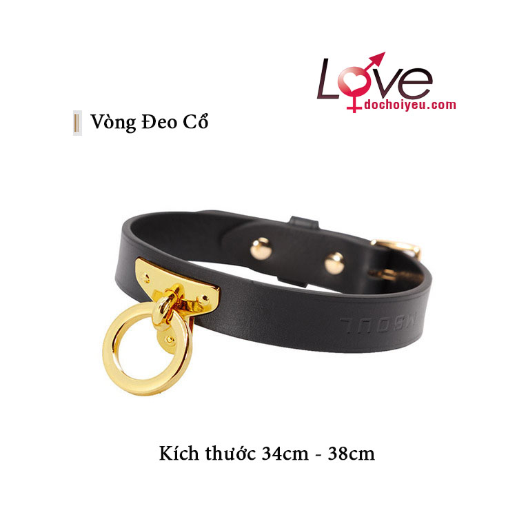 Bộ Đồ Chơi BDSM Da Cao Cấp - Đẳng Cấp Thượng Lưu