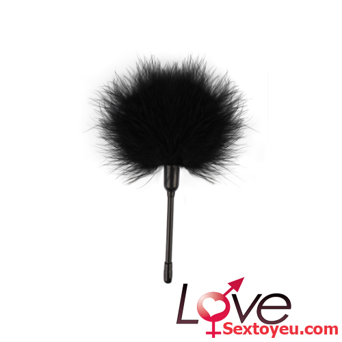 Chổi lông vũ Chisa Senoelo sang trọng hiệu quả làm sạch tốt