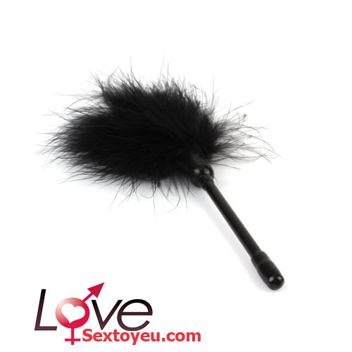 Chổi lông vũ Chisa Senoelo sang trọng hiệu quả làm sạch tốt