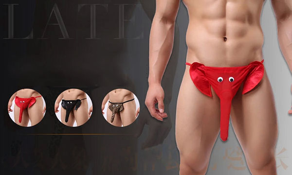 Quần lót nam vòi voi thời trang thoáng mát sành điệu