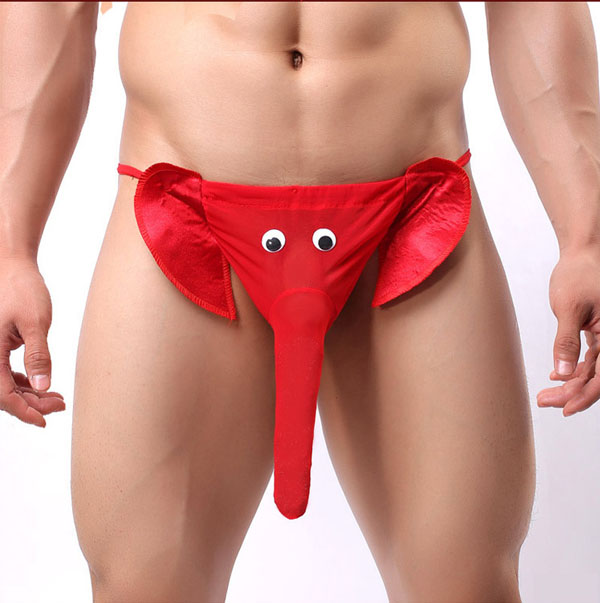 Quần lót nam vòi voi độc lạ phong cách sành điệu tiện lợi