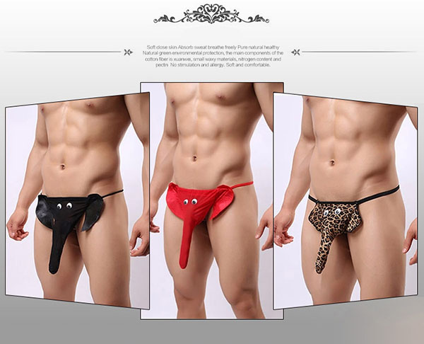Quần lót nam vòi voi thời trang thoáng mát sành điệu