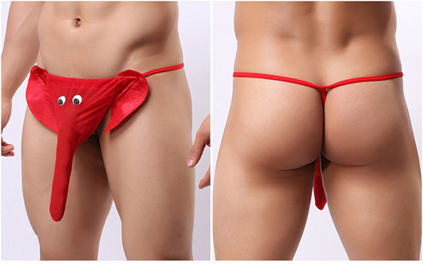 Quần lót nam vòi voi độc lạ phong cách sành điệu tiện lợi