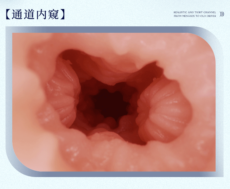 Búp bê bán thân có chân Ji Ishihara 12.5kg giá rẻ chất lượng