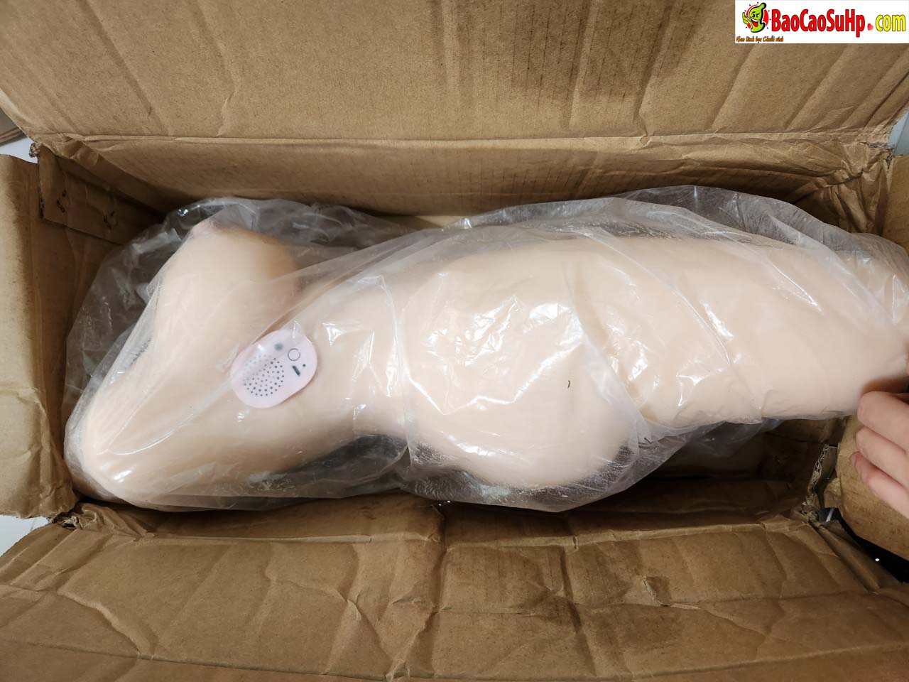 Búp bê bán thân Diyuenu Oralie rung hút phát nhiệt 8kg