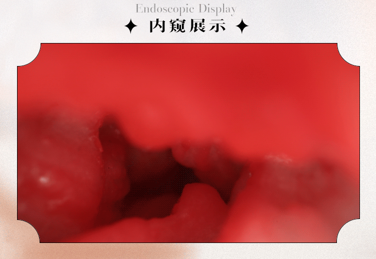 Búp bê tình dục Yoshida Rena tính thật chân tròn ngực quyến rũ 11kg