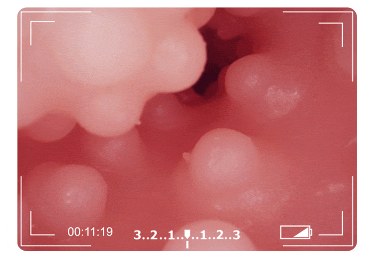 Búp bê tình dục bán thân chân dài Japan Ishihara Megumi 10kg chất lượng cao Búp bê tình dục bán thân chân dài Japan Ishihara Megumi 10kg chất lượng cao