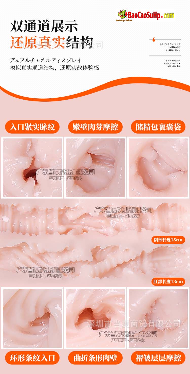 bup be tinh duc ban than oder Toysheart Lisa We 12 - Búp bê tình dục bán thân Toysheart Lisa We Ngực G cup đầy đặn mông to 1m21 55kg (Oder)