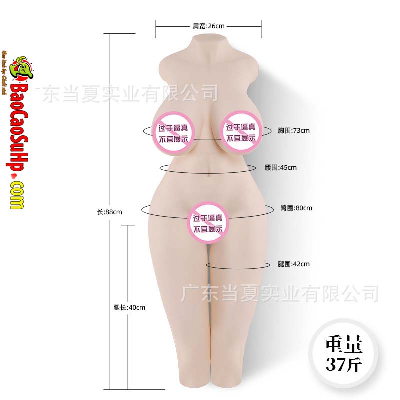 Búp bê bán thân Toysheart Japan Sophie 88cm ngực nở cao cấp