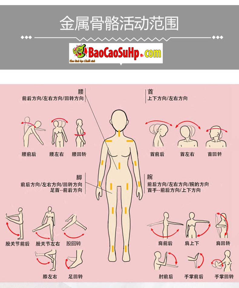 Búp Bê Tình Dục Koharu Full Silicone Mắt To Ngực Khủng 1m58