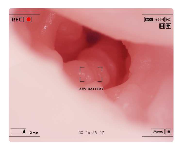 1 13 - Búp bê tình dục bán thân Kanchana nét đẹp khỏe khoắn! 7.2kg