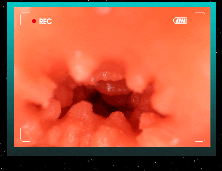 Búp bê tình dục Mizzzee Suzuki Kyoko Gym 11kg khung xương chất lượng cao