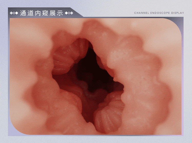 Mizzzee Surou Love Sexy Girl 13 - Búp bê tình dục bán thân Mizzzee Surou Love Sexy Girl có tay chân