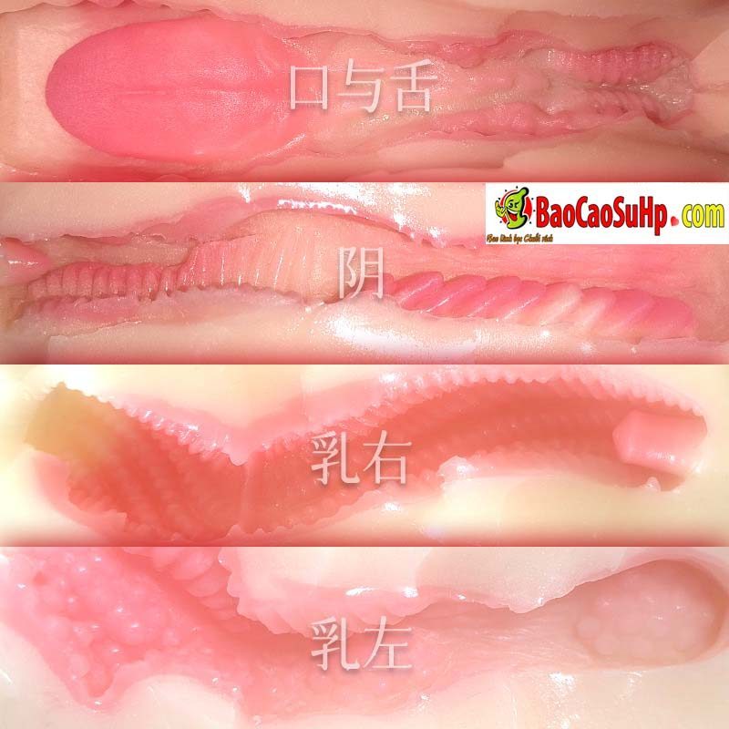 Vếu giả nguyên khối Mianmao Reed 2.3kg rung siêu thật