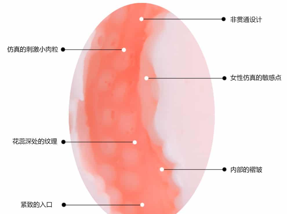 20180610120617 8926937 am dao gia nguyen khoi fanala 6 - Âm đạo giả cao cấp dạng mông fanala