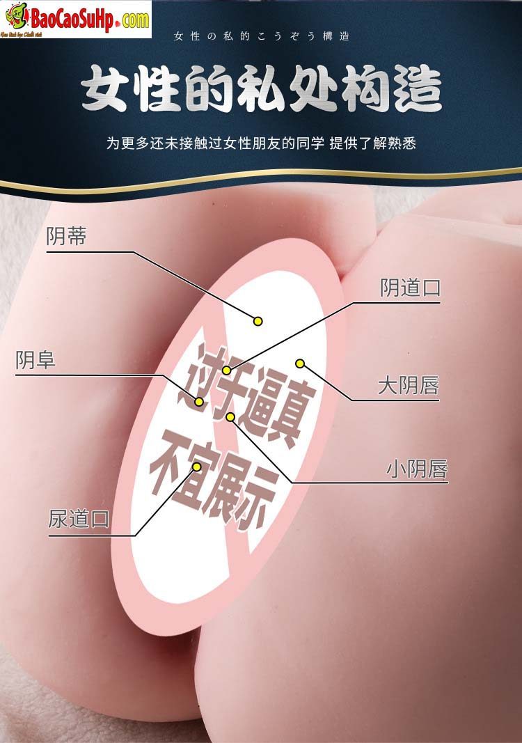mong gia New Tonggu Alice 5 - Mông giả đúc nguyên khối New Tonggu Alice da sần chân thật