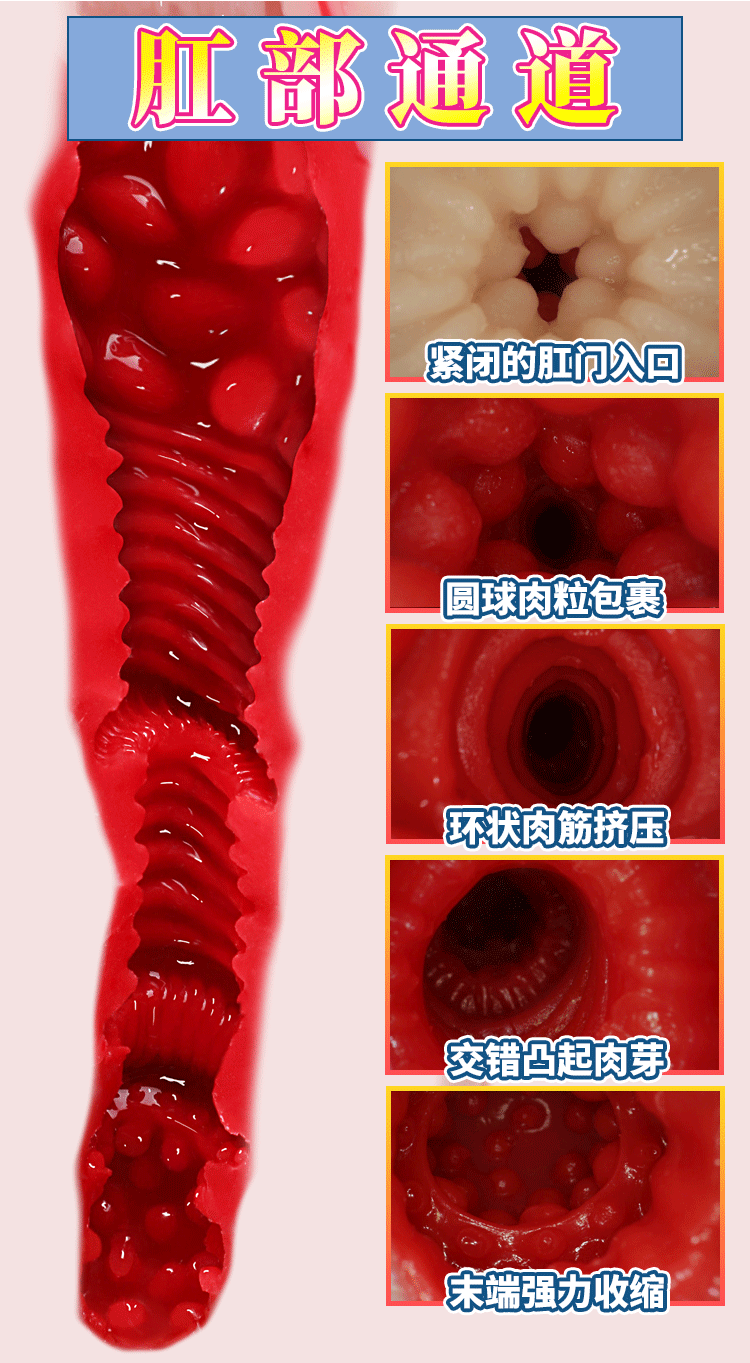 Mong gia to duc khuon mau Nhat sieu thuc Kinoshita 7kg 12 - Mông giả to đúc khuôn mẫu Nhật siêu thực Kinoshita 7kg