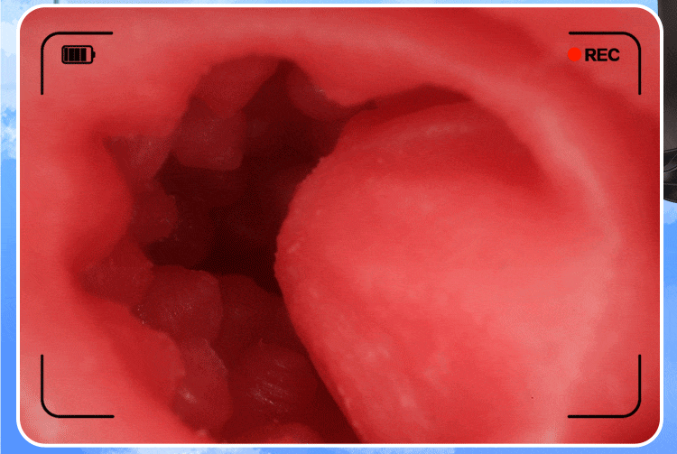 Mông giả nguyên khối cao cấp Dimension Love Hashimoto Arina Nhật