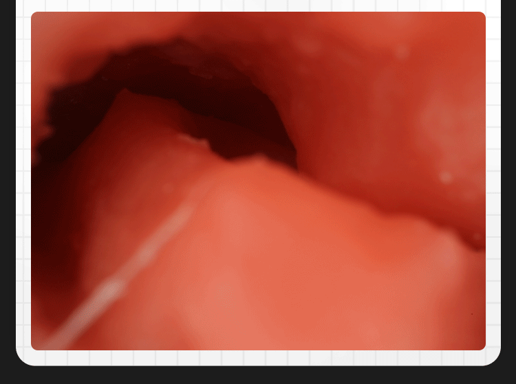 Mông giả nguyên khối Chinatsu sần đỏ hồng siêu thực 3kg đẹp mắt