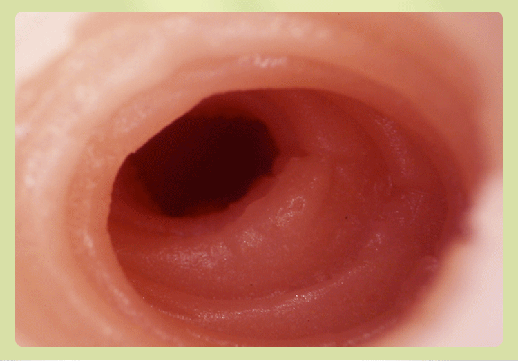 Mông giả nguyên khối Mizzzee Sakai Hiroko 6kg lông thật da sần