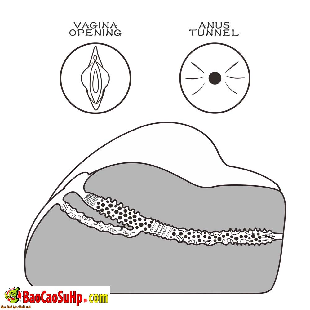mong gia USA Lovetoy Street Girl LV352007 5 - Mông giả nguyên khối USA Lovetoy Street Girl LV352007 1,5kg