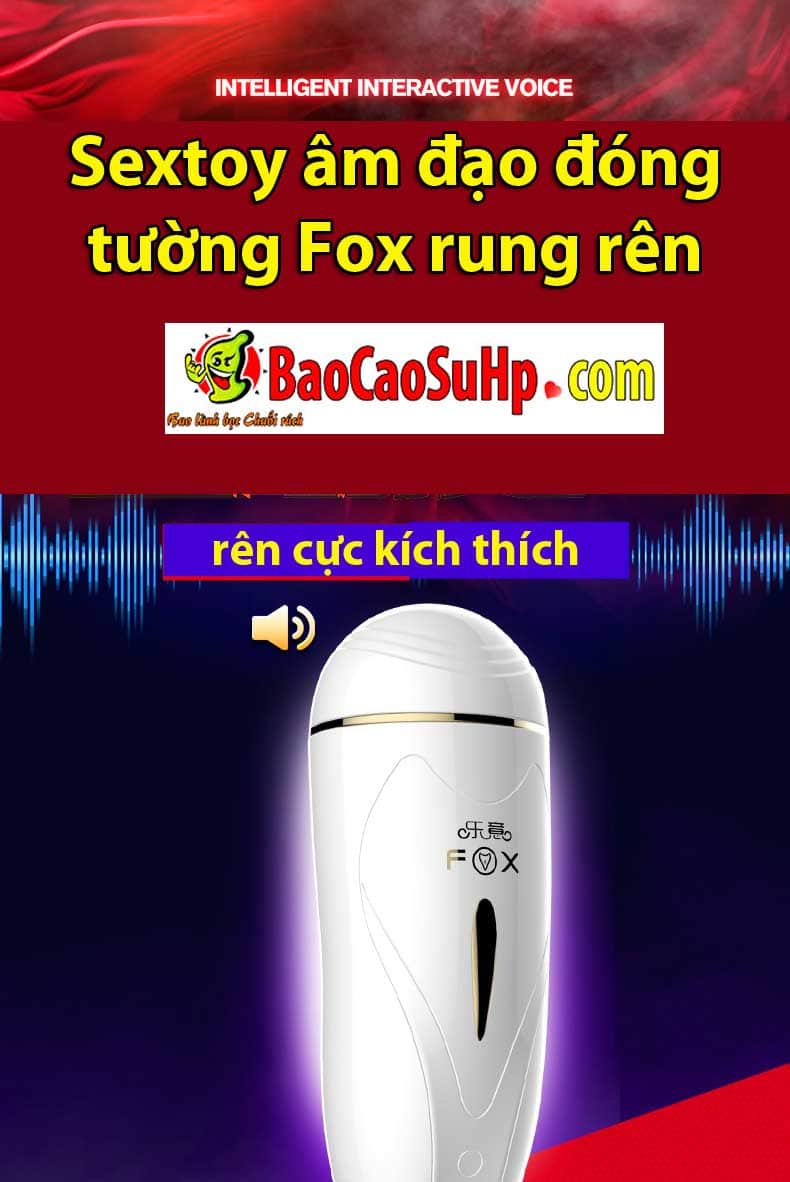 Sextoy âm đạo đóng tường Fox Ranger, đa dạng mẫu mã, chất lượng tốt