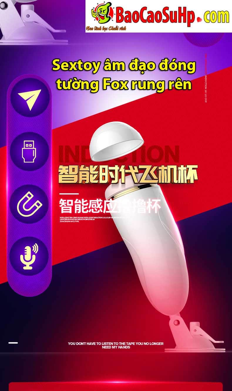 Sextoy âm đạo đóng tường Fox Ranger, đa dạng mẫu mã, chất lượng tốt