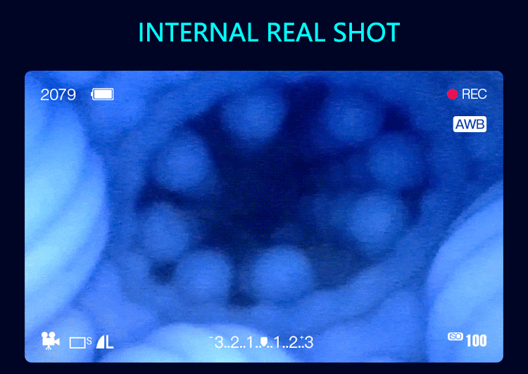 Cốc tự sướng Leten Nhật siêu phẩm đa chức năng chất liệu cao cấp