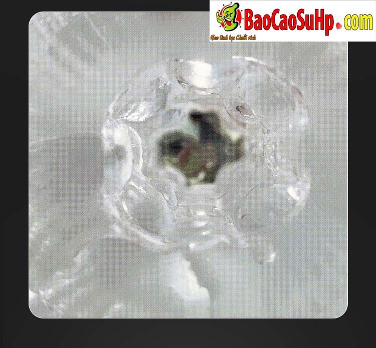 Cốc thủ dâm nam trong suốt ROSELEX Lady Nightmate siêu mềm mại giá siêu ưu đãi