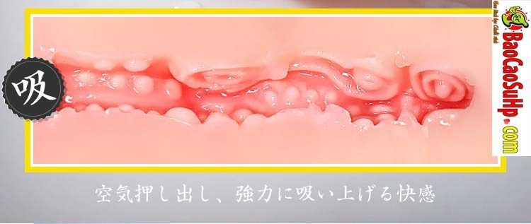 am dao gia Mizzzee Pink Miss X 10 - Âm đạo giả khuôn người đẹp Nhật Hồng Hào Mizzzee Pink Miss X