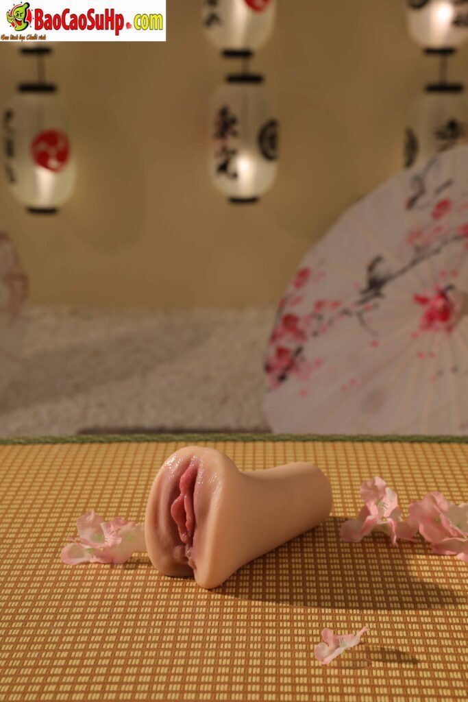 478A4138 683x1024 - Âm đạo giả idol Nhật Bản Zz050 siêu thực siêu đẹp 660g