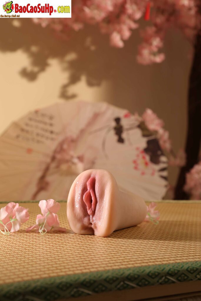 478A4140 683x1024 - Âm đạo giả idol Nhật Bản Zz050 siêu thực siêu đẹp 660g