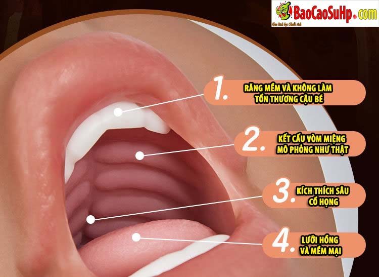 Âm đạo nguyên khối 5D đôi đầu, Coc Blowjob 700g siêu thật