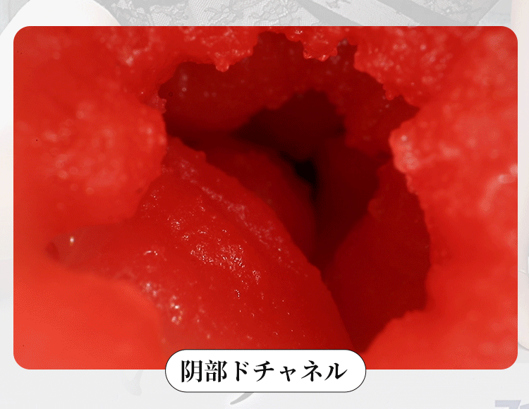 am dao 2 dau Tokyo Fukada Eimi 15 - Âm đạo nguyên khối Idol Nhật Bản 2 đầu Tokyo Fukada Eimi 920g