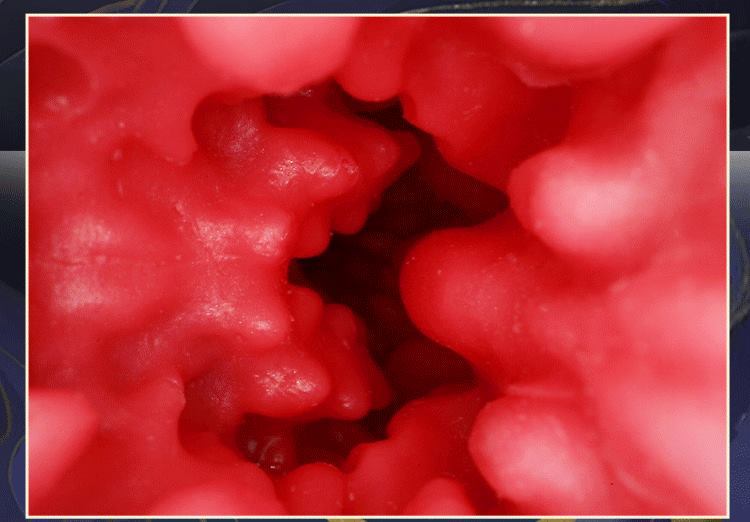 Máy rung cầm tay Mizzzee Kyubi 600g phát nhiệt siêu kích thích