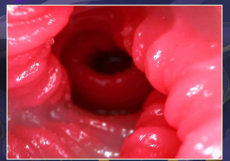 Máy rung cầm tay Mizzzee Kyubi 600g phát nhiệt siêu kích thích