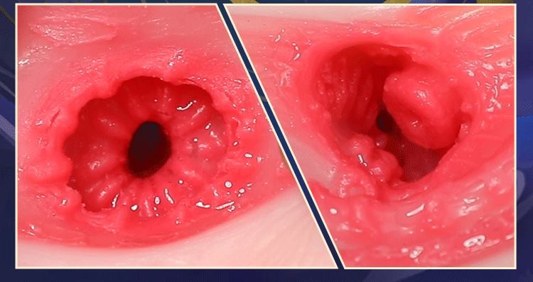 Máy rung cầm tay Mizzzee Kyubi 600g phát nhiệt siêu kích thích