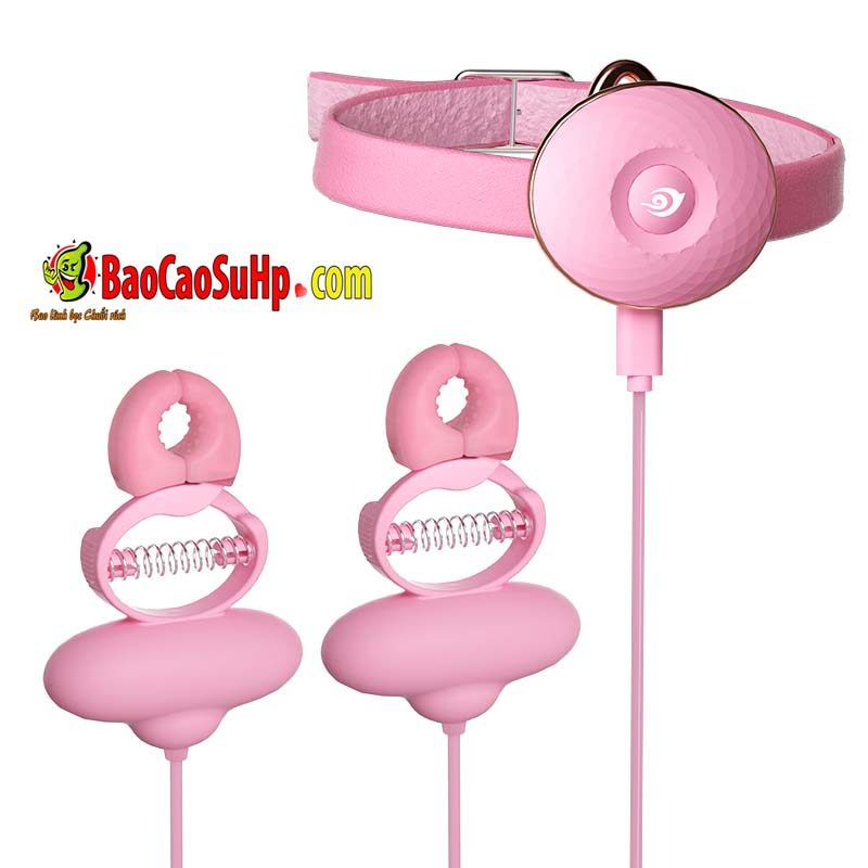 Mizzzee Pink Soft Nipple Clips with Remote Control