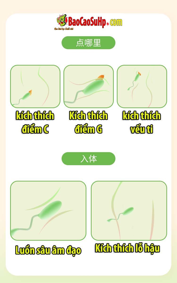 Trứng rung Mizzzee Green Bean điều khiển không dây kích thích
