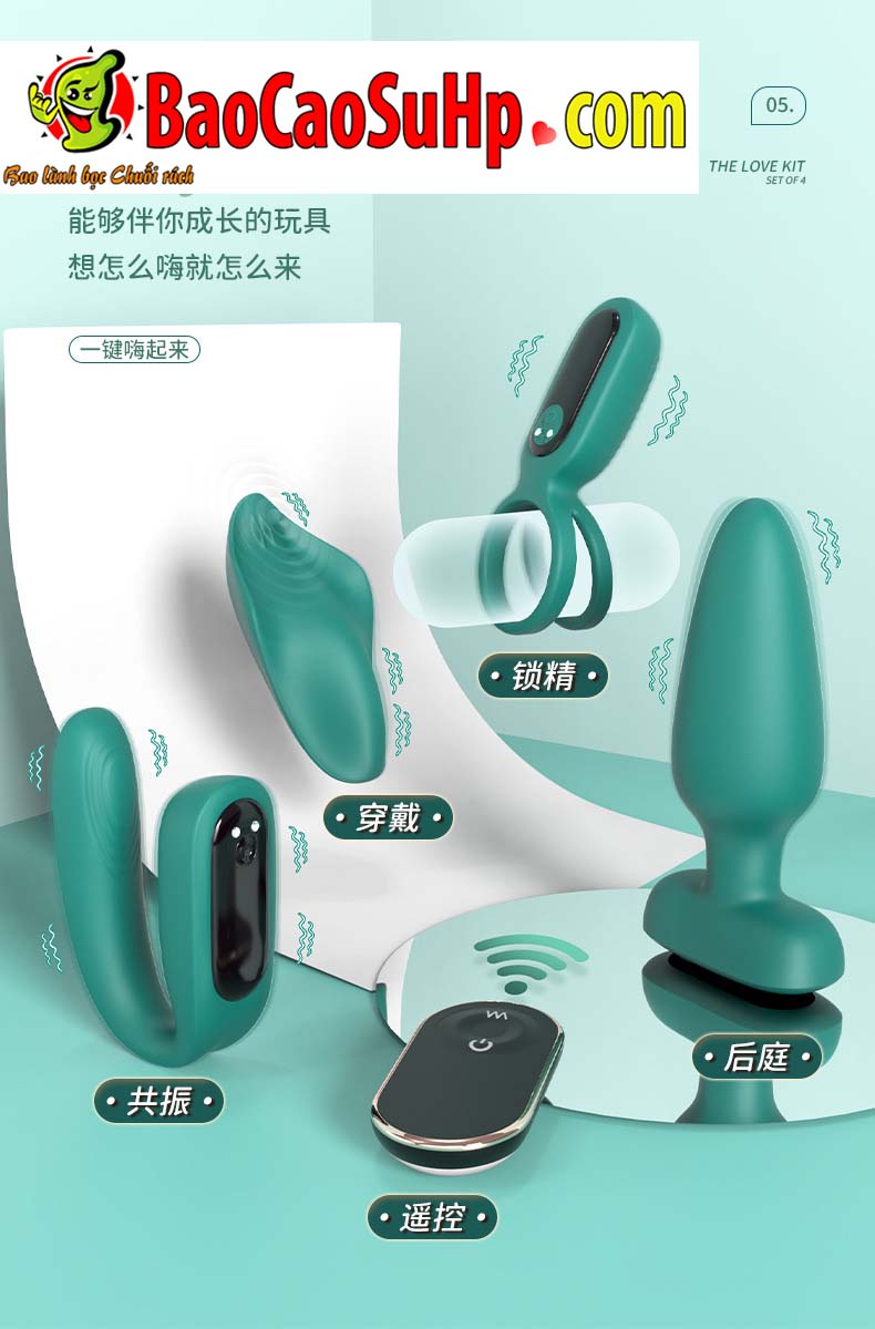 Bộ trứng rung hậu môn, vòng đeo dương vật Shande S429, kích thích