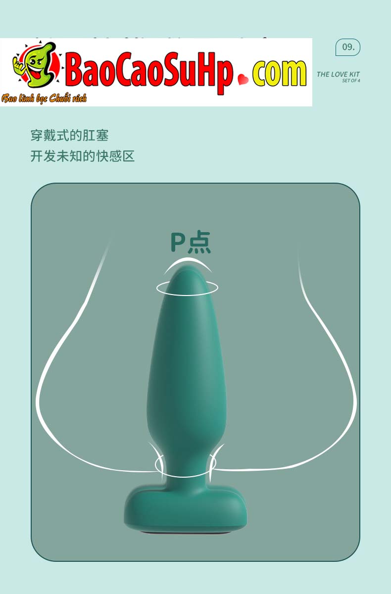 Bộ trứng rung hậu môn, vòng đeo dương vật Shande S429, kích thích