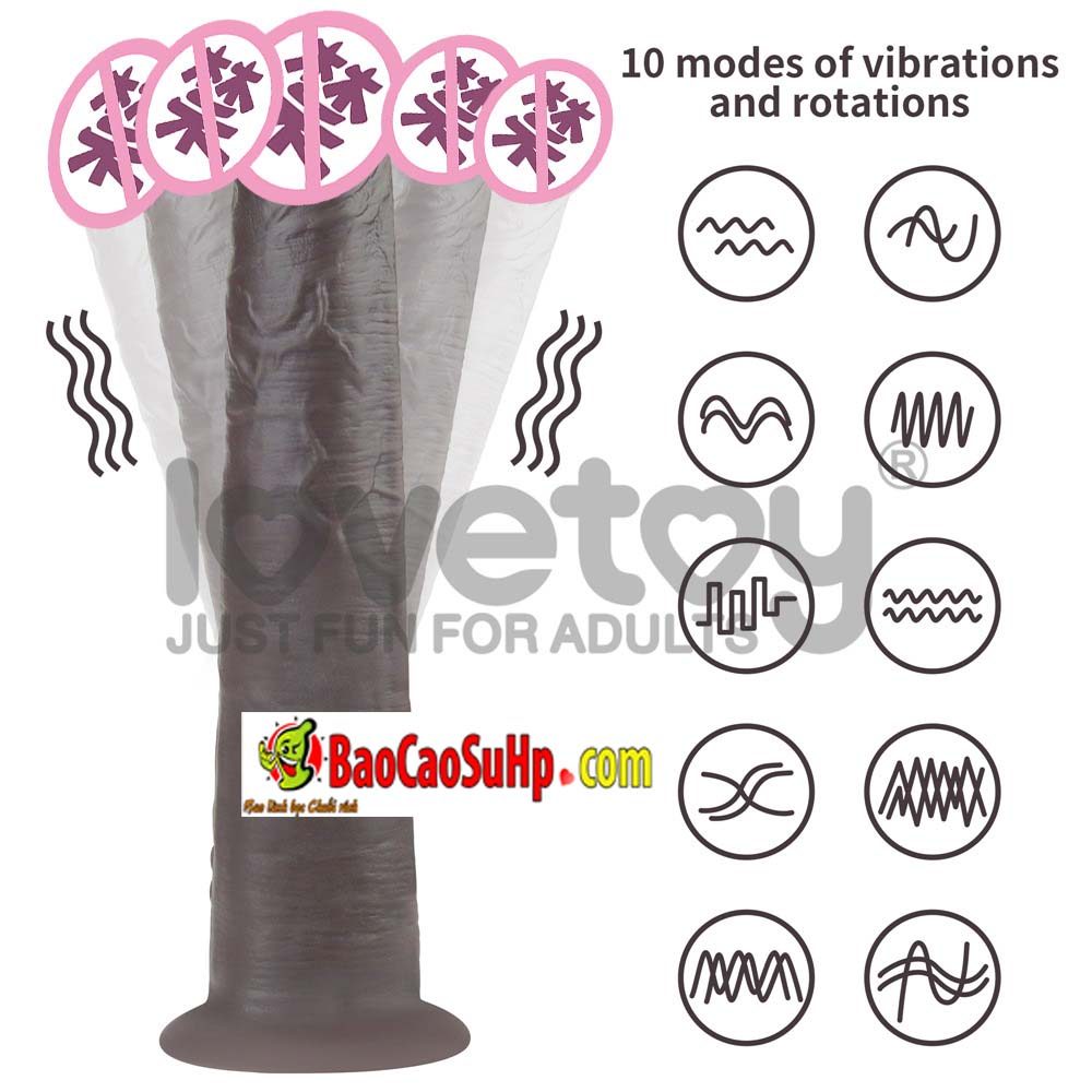 duong vat gia Lovetoy USA 10 Dual Layered Silicone Rotator Black 7 - Dương vật giả Lovetoy USA 10'' Dual Layered Silicone Rotator Black