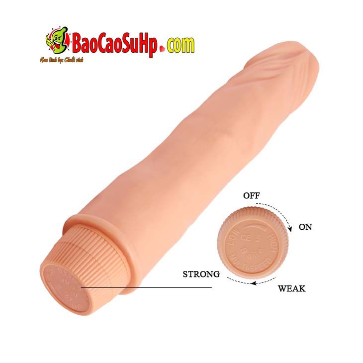 duong vat Baile gia re cam tay Barbara Rung 10 - Dương vật Baile giá rẻ cầm tay Barbara Rung mềm mại màu da