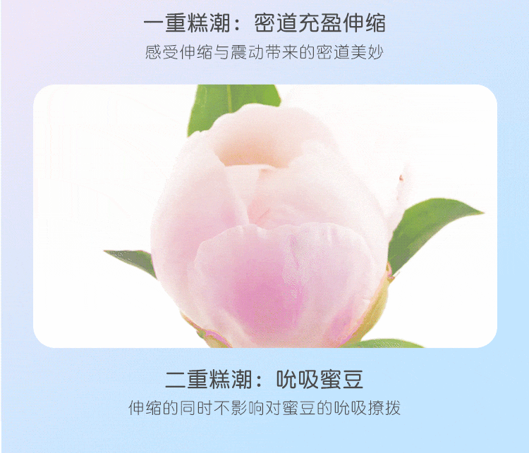 Dương vật giả rung hút lưỡi liếm Mizzzee mới hot giá tốt Dương vật giả rung hút lưỡi liếm Mizzzee mới hot giá tốt