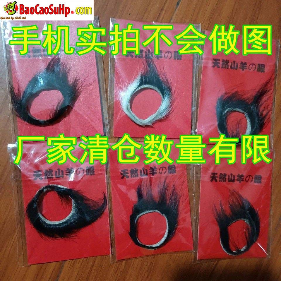 vong mat cuu Full long ONZ 3 - Vòng mắt cừu Full lông cực dầy dầy tăng khoái cảm khi quan hệ ONZ
