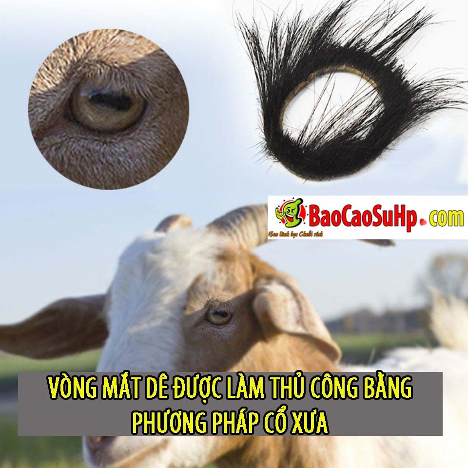 Vòng mắt cừu full lông dày tăng khoái cảm quan hệ siêu sướng
